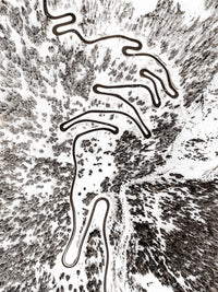 N°TSPS17 (The Swiss Pass Series, Malojapass, Switzerland)