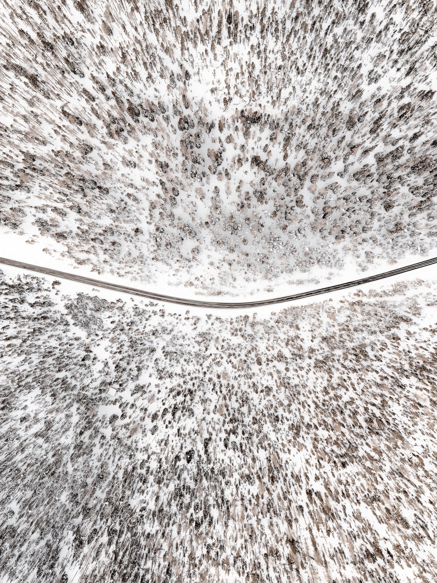 N°TSPS23 (The Swiss Pass Series, Ofenpass, Switzerland) by Tom Hegen, limited edition photography