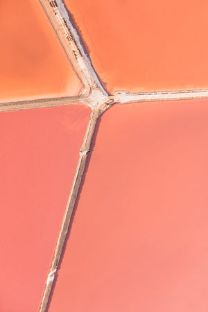 N°TSSI13 (The Salt Series I, France)