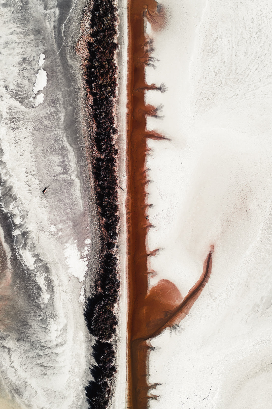 N°TSSI29 (The Salt Series I, France) by Tom Hegen, limited edition photography