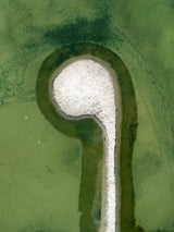 N°TSSIII41 (The Salt Series III, USA)