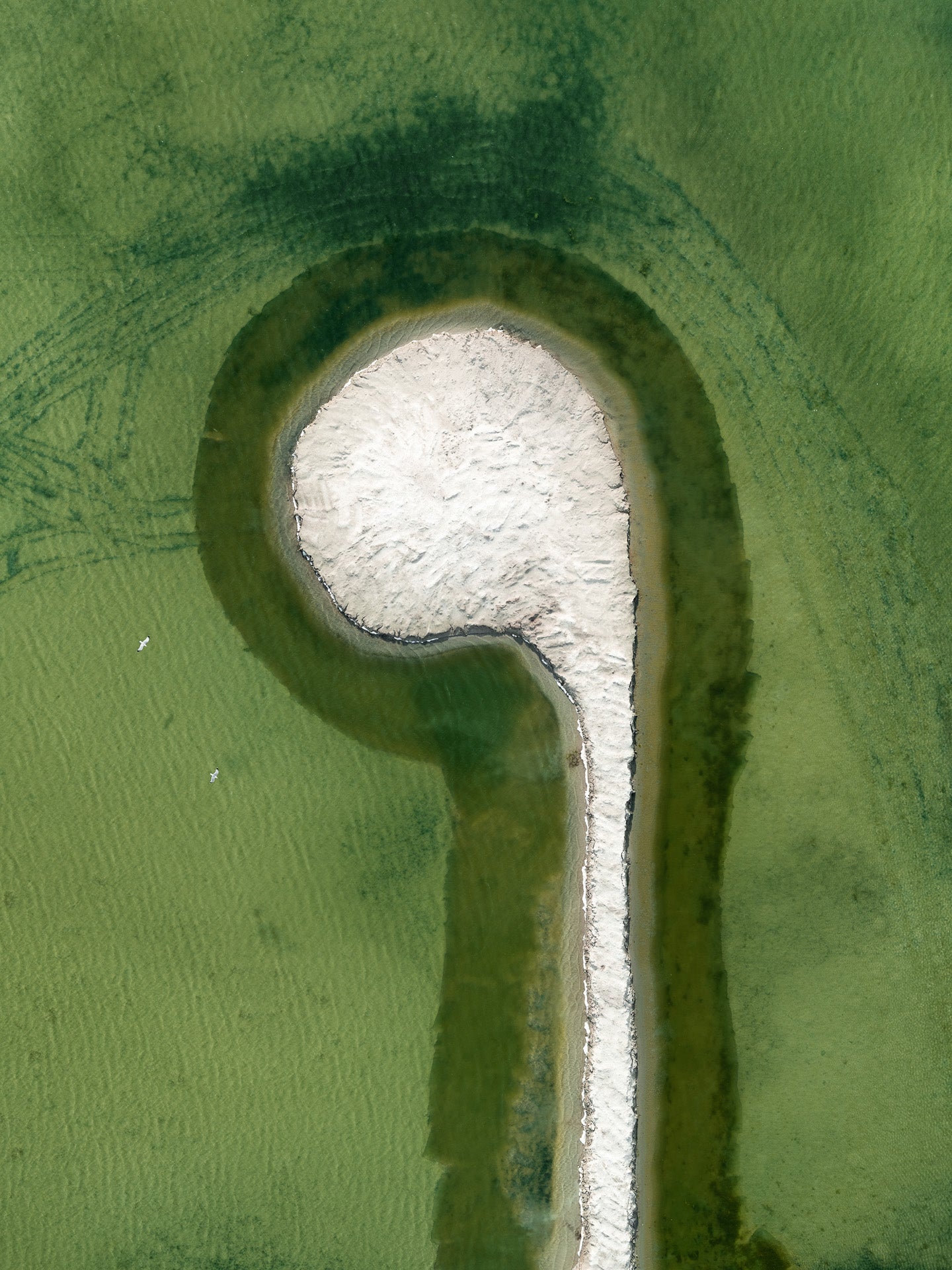 N°TSSIII41 (The Salt Series III, USA) by Tom Hegen, limited edition photography