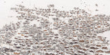 N°TSVS01 (The Verbier Ski Series)