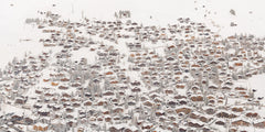 N°TSVS01 (The Verbier Ski Series) by Tom Hegen, limited edition photography