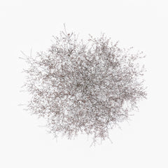 N°TTCS01 (The Tree Crown Series, Germany) by Tom Hegen, limited edition photography