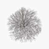 N°TTCS13 (The Tree Crown Series, Germany)