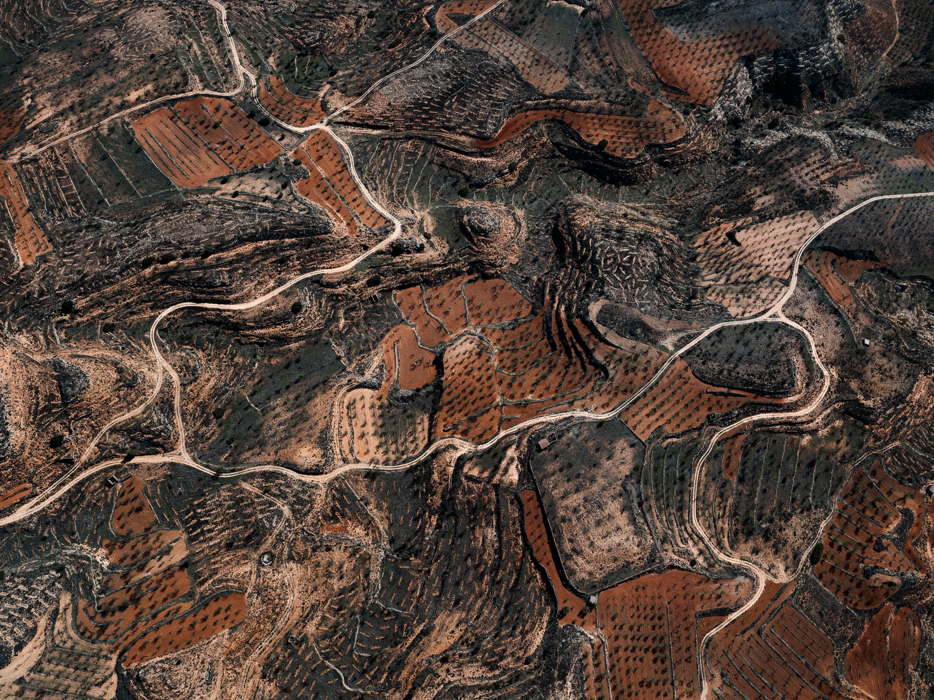 N°TSFSII09 (The Spanish Farmland Series II, Spain)