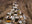N°TSSIV09 (The Salt Series IV, Senegal) by Tom Hegen, limited edition photography