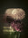 Flowers by Tina Trumpp, limited edition photography