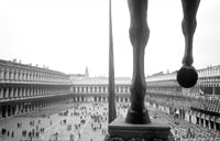 Quadriga Marciana II, Venice