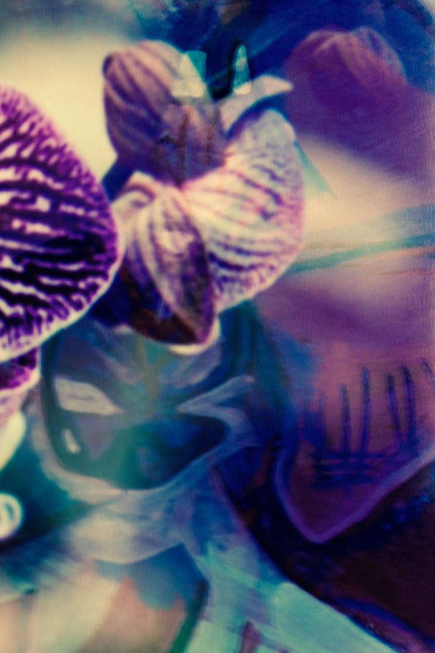 Elves No 19 by Karina Wisniewska, limited edition photography