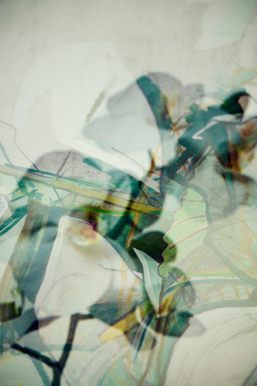 Elves No 16 by Karina Wisniewska, limited edition photography