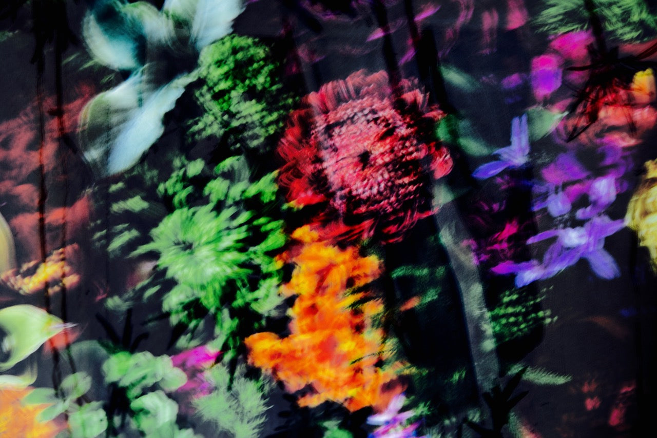 Elves No 10 by Karina Wisniewska, limited edition photography