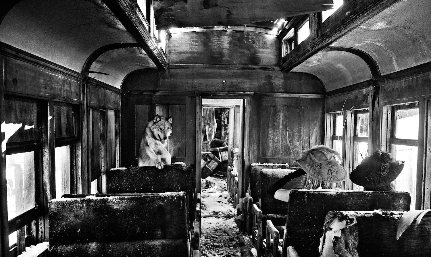 Ride The Ghost Train by David Yarrow, limited edition photography