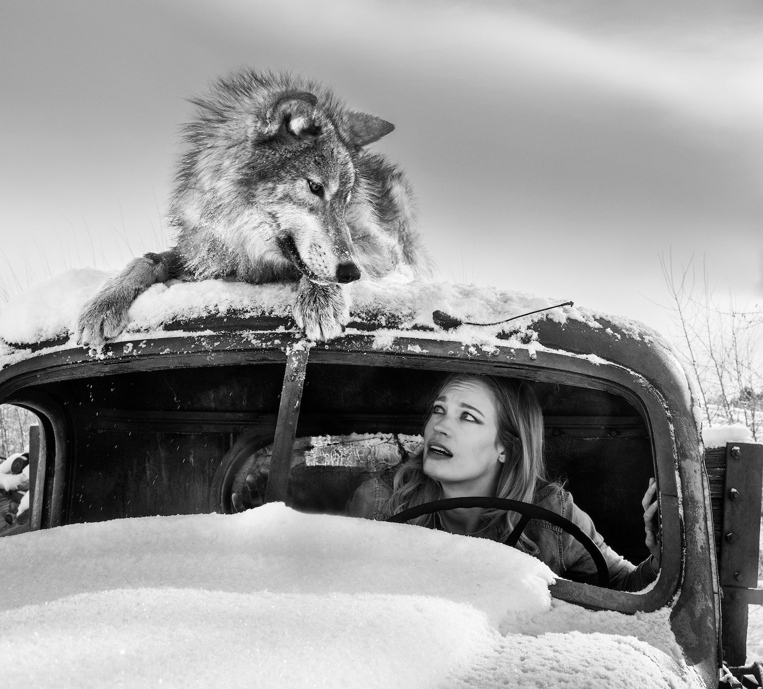 Street Car named Desire 1 by David Yarrow, limited edition photography