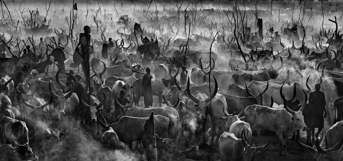 Mankind by David Yarrow, limited edition photography