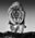 Genesis by David Yarrow, limited edition photography