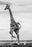 Hoof It by David Yarrow, limited edition photography