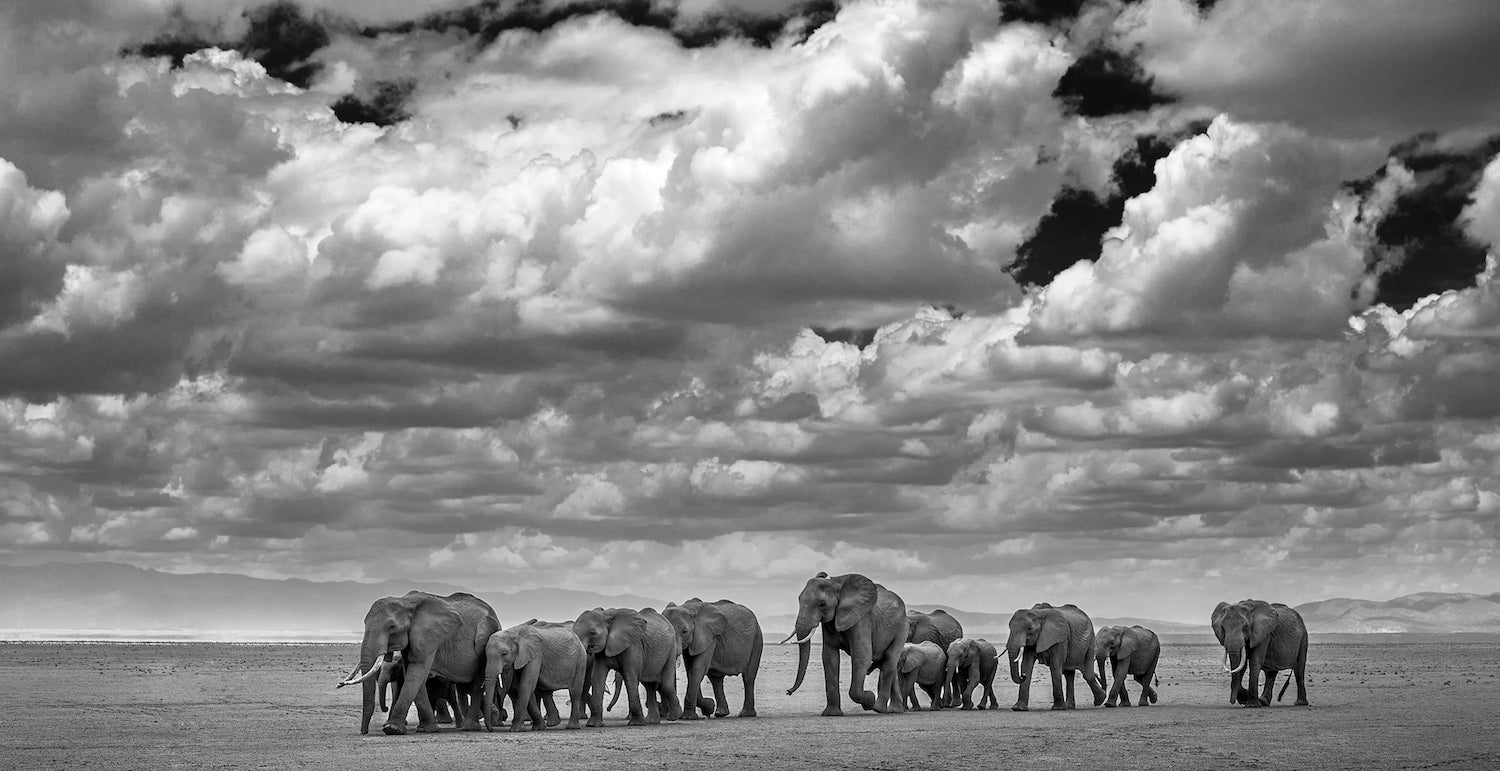 The Waterboys by David Yarrow, limited edition photography