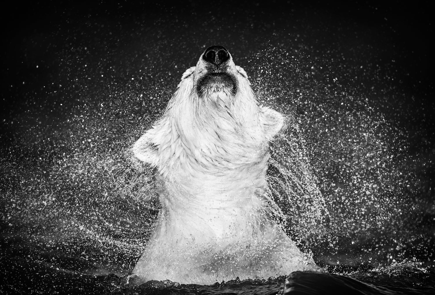 Diamonds in the Sky by David Yarrow, limited edition photography