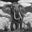 Tsavo East by David Yarrow, limited edition photography