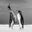 All You Need Is Love by David Yarrow, limited edition photography