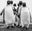 Wise Guys by David Yarrow, limited edition photography