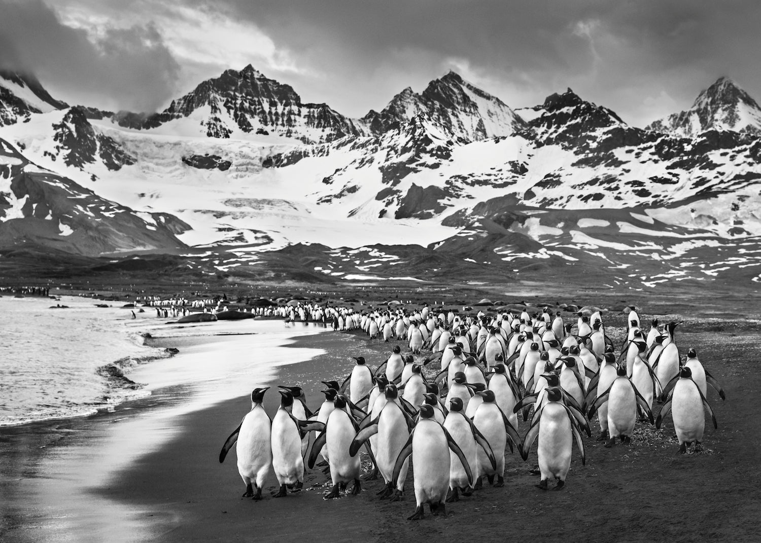 The Breakfast Club by David Yarrow, limited edition photography