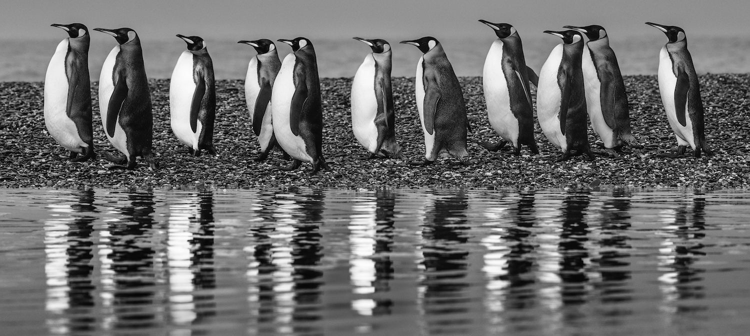Ocean's Eleven by David Yarrow, limited edition photography