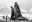 You Sat On My Husband by David Yarrow, limited edition photography