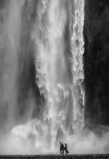 Wonderwall by David Yarrow, limited edition photography