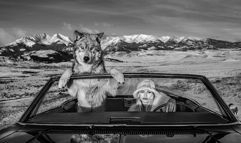 Once upon a time in the West by David Yarrow, limited edition photography