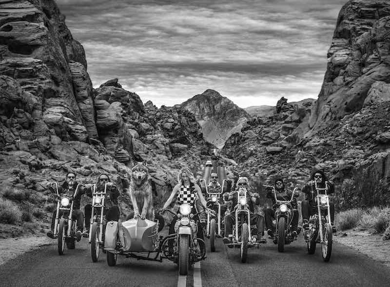 The leader of the pack by David Yarrow, limited edition photography