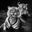 Jungle book stories by David Yarrow, limited edition photography