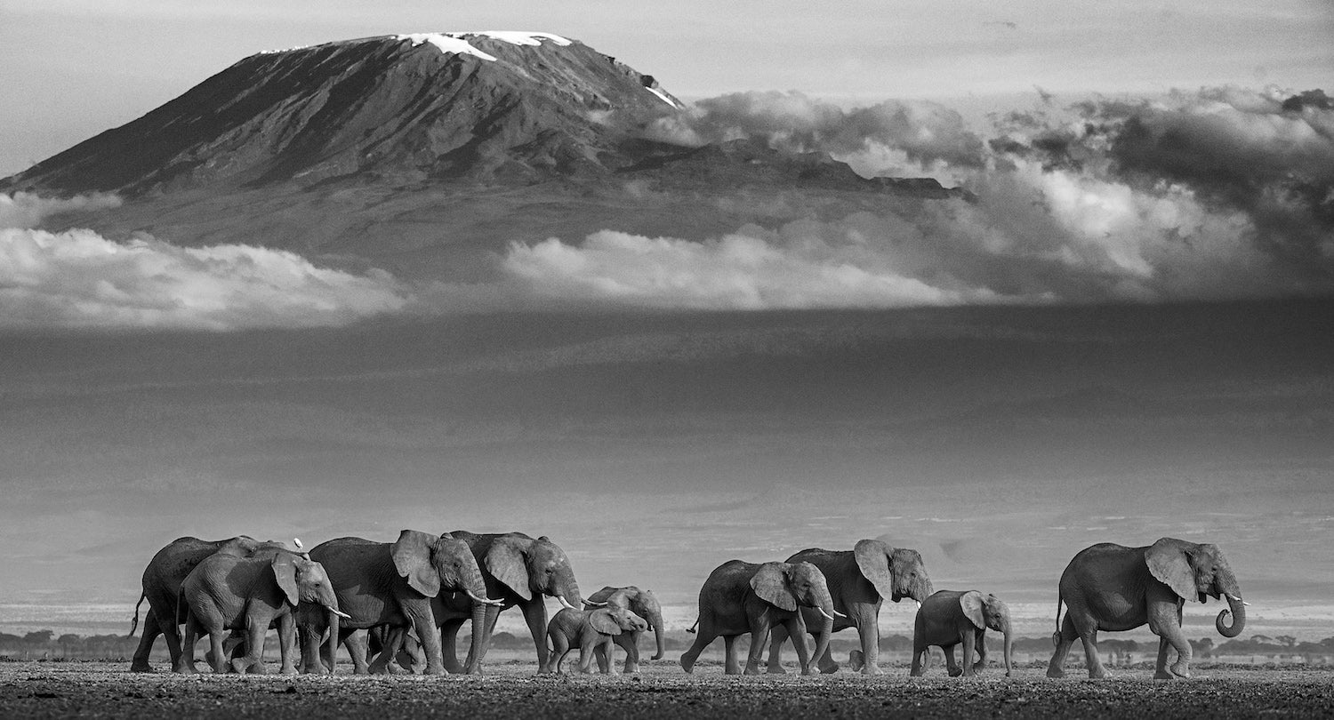 Walk the line by David Yarrow, limited edition photography