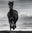 Black Beauty by David Yarrow, limited edition photography