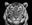 Rajasthan by David Yarrow, limited edition photography