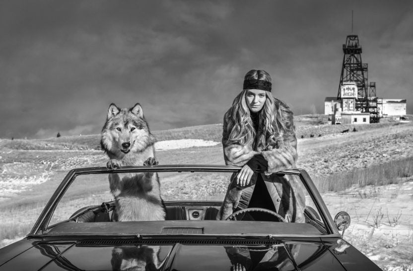 The Mile High Club by David Yarrow, limited edition photography