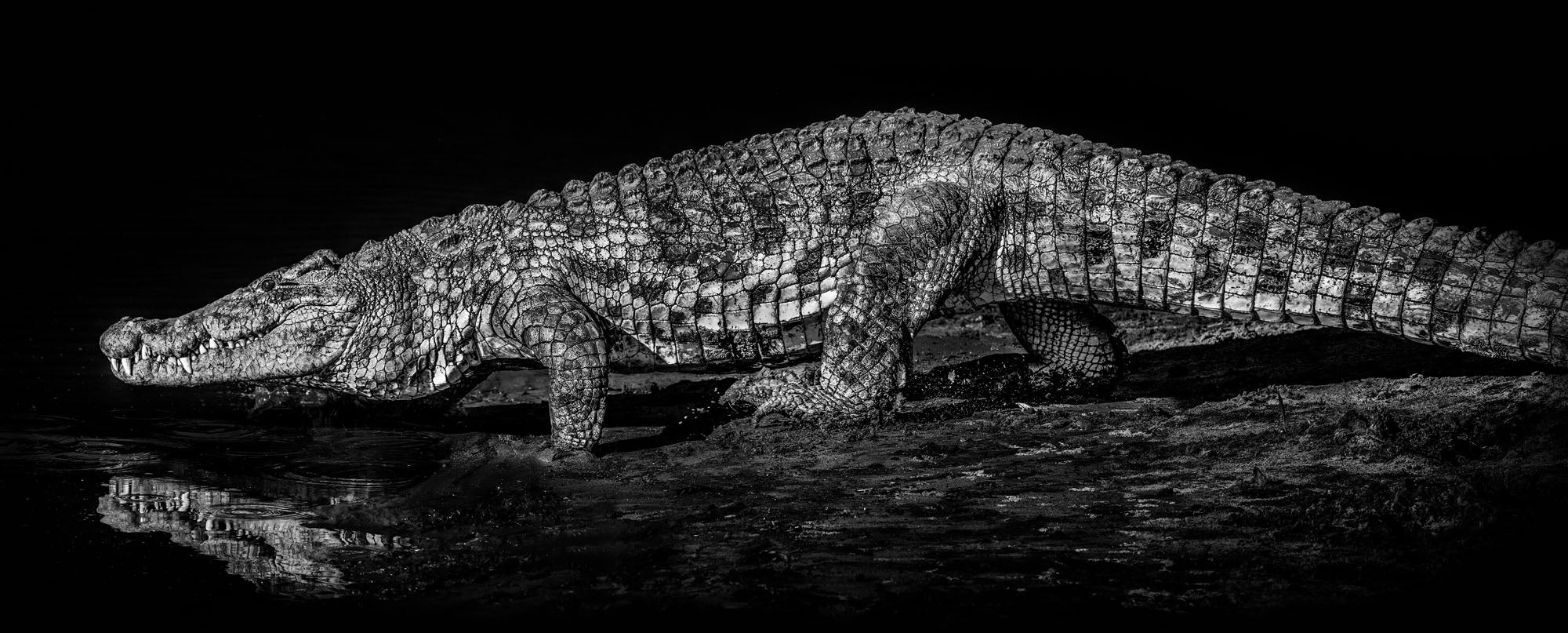 BC 10'000 by David Yarrow, limited edition photography