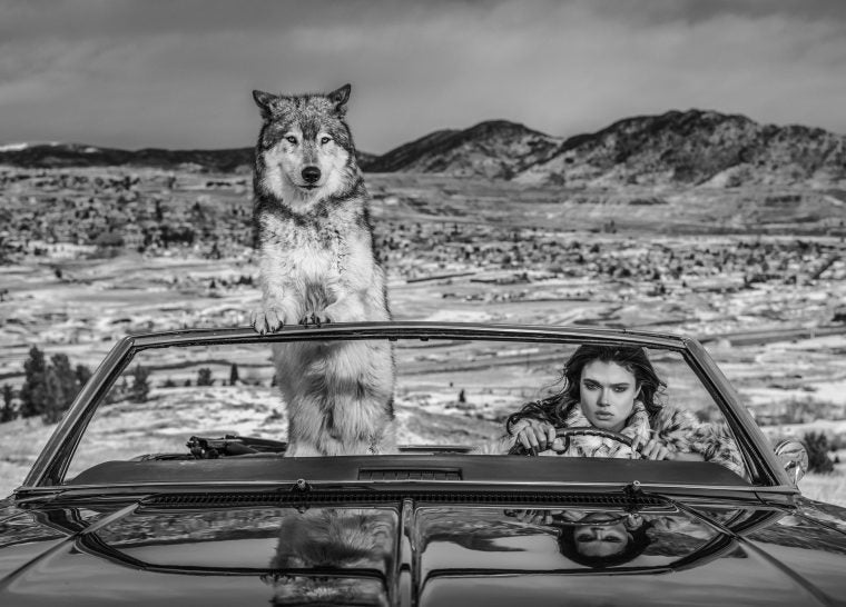 The richest hill in the world by David Yarrow, limited edition photography