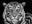 The Cave by David Yarrow, limited edition photography