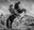 Living without borders by David Yarrow, limited edition photography