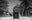 Out of towner by David Yarrow, limited edition photography