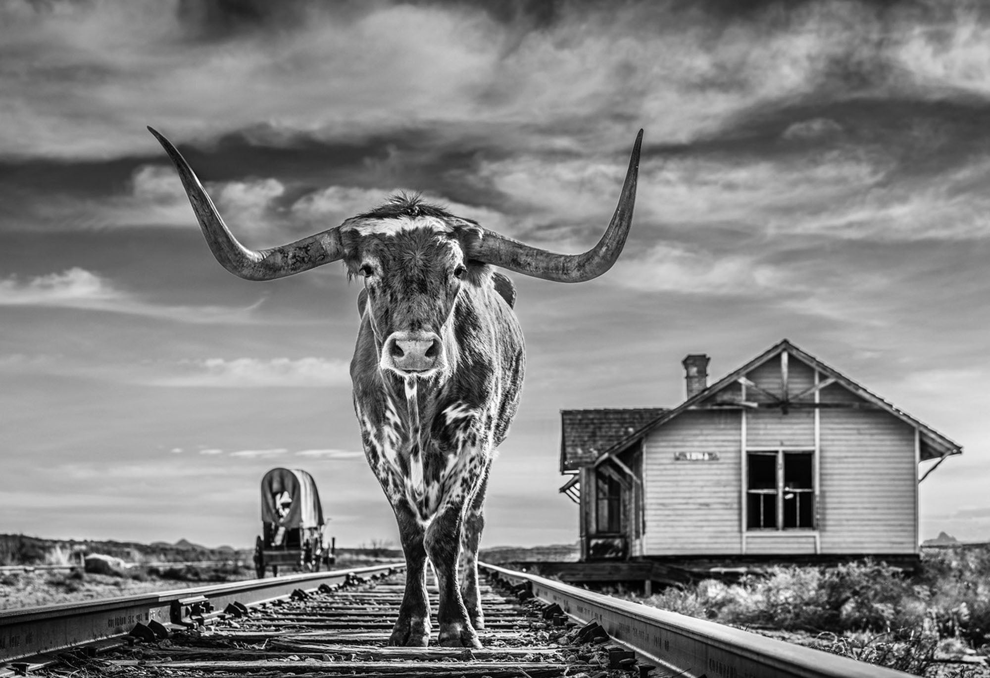 The End of the Line