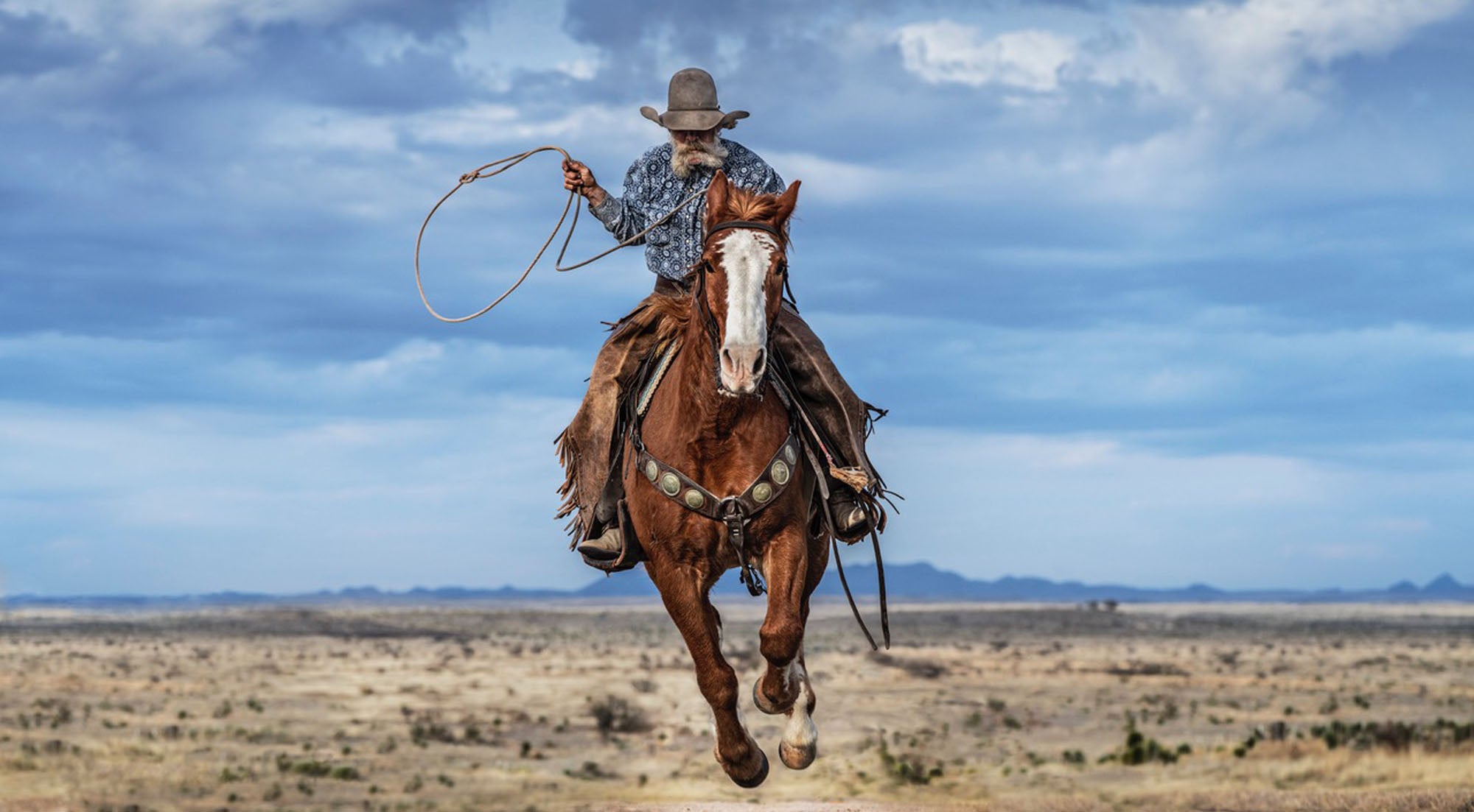 True Grit (colour) by David Yarrow, limited edition photography