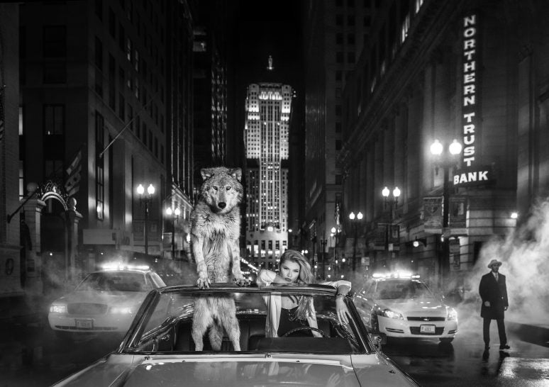 Chicago by David Yarrow, limited edition photography