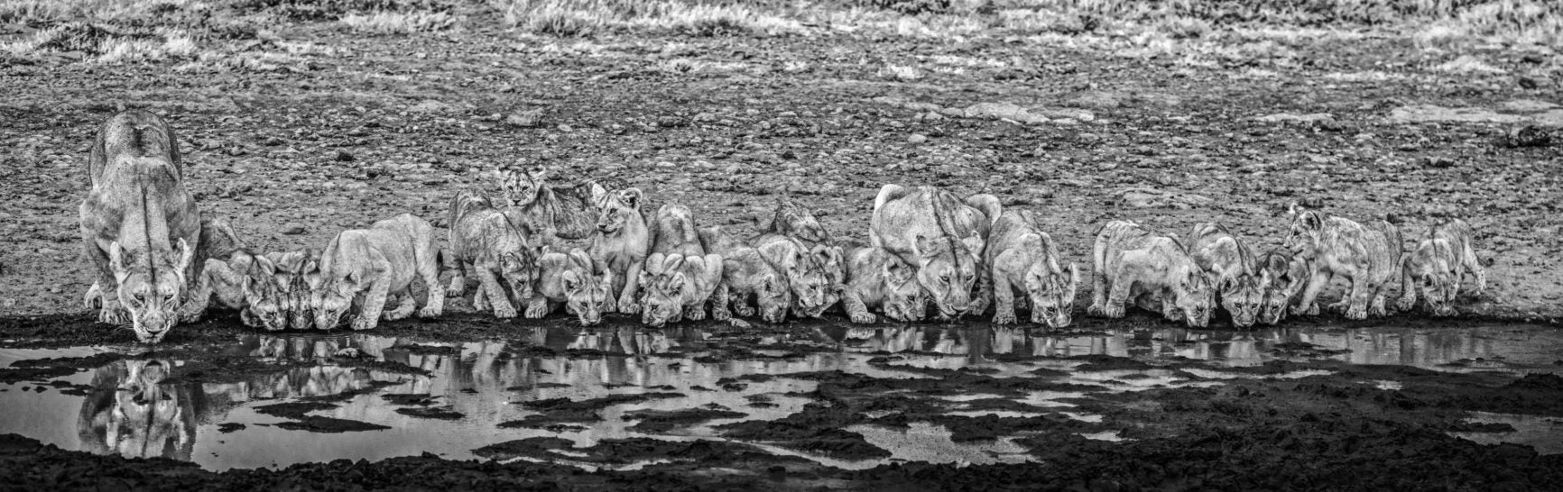  One for the Road David Yarrow
