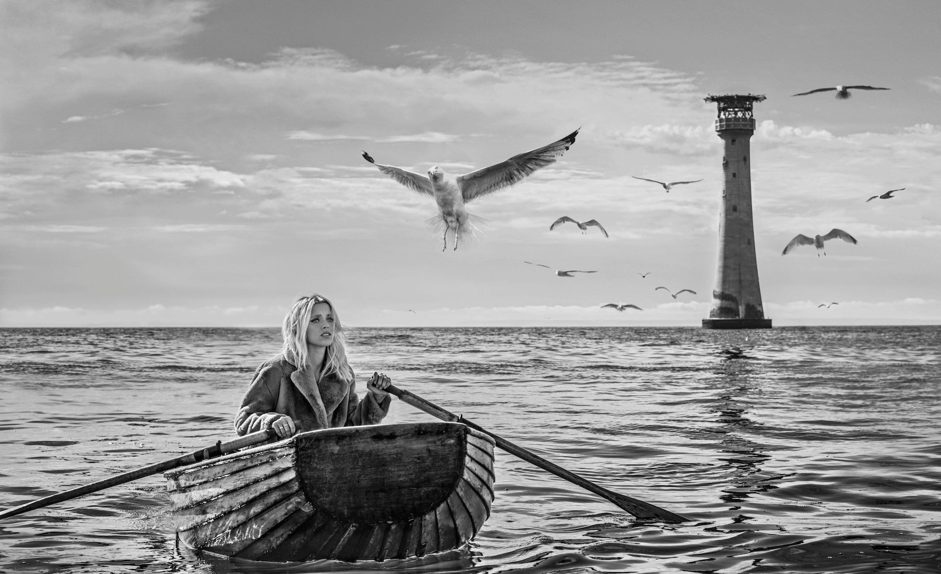 The Birds by David Yarrow, limited edition photography