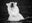 The Fur Coat by David Yarrow, limited edition photography
