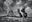 Chief by David Yarrow, limited edition photography